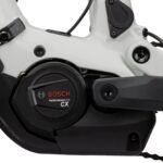 RANDON-OK-1.jpg