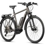 Radon Solution Hybrid 8.0 CX 500