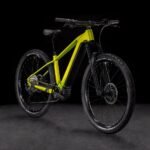 Cube-Reaction-Hybrid-Race-800-lizard´n´black-5.jpg