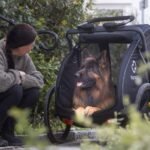 Hamax-HAM400502-20126369-Pluto-L-Hundeanhanger-16-1.jpg