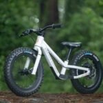 kids-ride-shotgun-KRS-BIK-DHW14MB-01-1-20126011-Dirt-Hero-Magura-Laufrad-14-1.jpg