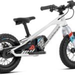 Mondraker GROMMY 12
